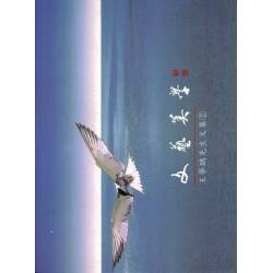文藝美學--王夢鷗先生文集2